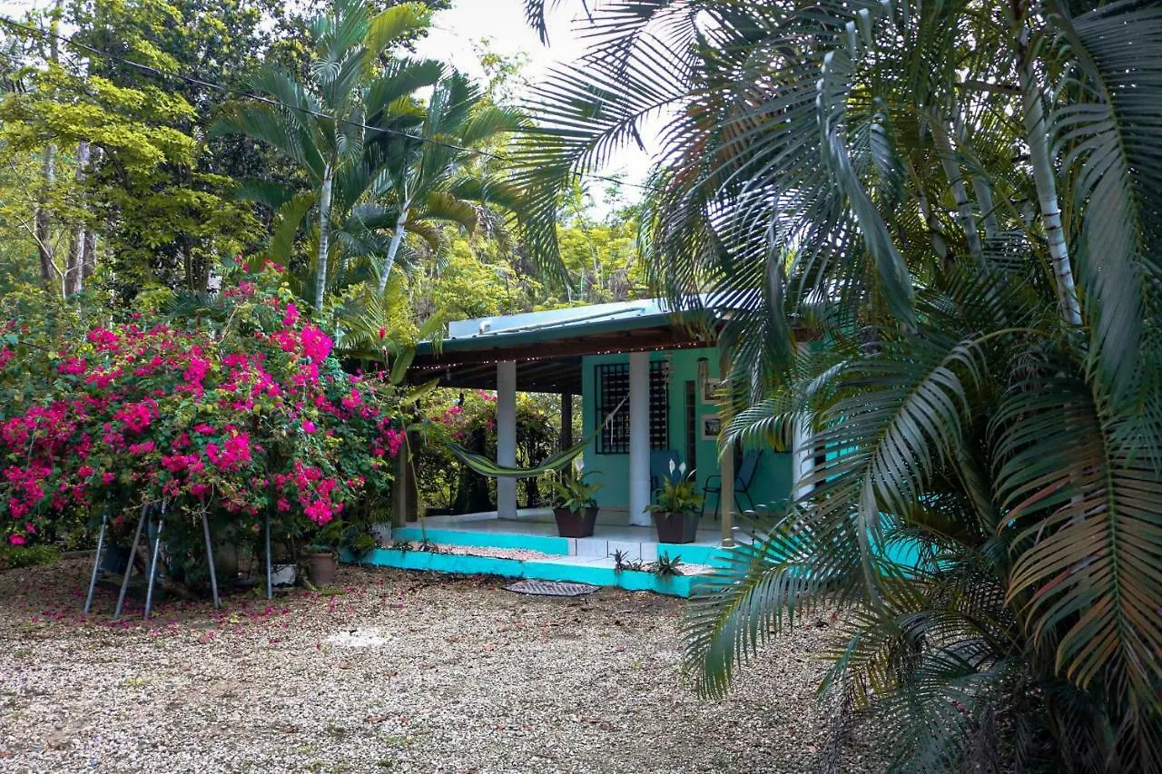 הוילה Rincon Blu Tropical House בית נופש
